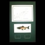      The Taylor River, CO.
 Green Matte Walnut Frame
                13" x 20"
                $100.00