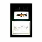   The Big Thompson River, CO
  Green Matte, Walnut Frame
               13" x 20"
                $100.00