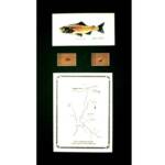 The Gunnison River, CO
Green Matte, Walnut Frame
13" x 22"
$100.00