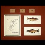 The South Platte River, CO
 below Cheesman Canyon
Rust Matting, Walnut Frame
  16" x 22"
   SALE PRICED AT  $85.00
