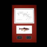 The Fryingpan River, CO
Rust Matting, Walnut Frame
13" x 20"
SALE PRUCED at $65.00