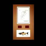The South Platte River, CO
below Cheesman Canyon
Tan Matting, walnut Frame
      13" x 22"
       $100.00