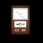 The Roaring Fork River, CO
Brown matting, Walnut Frame
13" x 20"
$100.00
