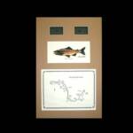 The Big Hole River, MT
Tan Matte, Walnut Frame
13" x 20"
$100.00
