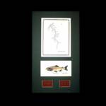 The Ruby River, MT
Green Matte, Walnut Frame
13" x 22"
$100.00