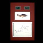 The Gibbon River, WY
Rust Matte, Walnut Frame
13" x 20"
$100.00