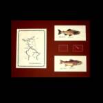 The North Platte river, WY
  The Miracle Mile"
16" x 22"
$135.00