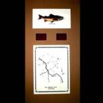 The Gallatin River, WY
Tan Matt, Walnut frame
13" x 22"
$100.00